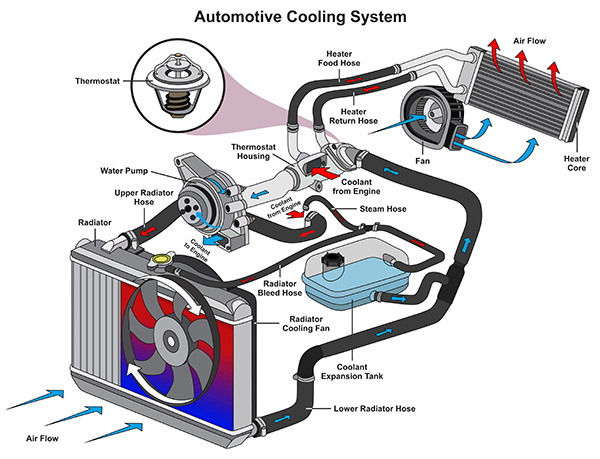 Simple Tips to Keep Your Engine Cool This Summer